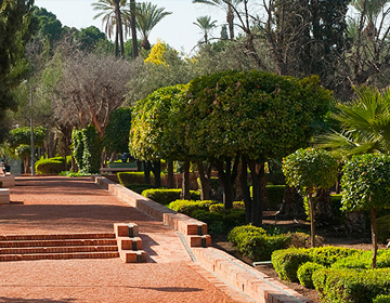 Marrakech