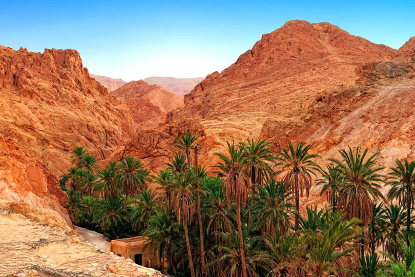 Oasis de Chebika, Tamerza et Mides