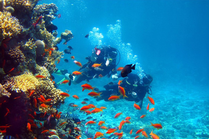 Plongée sous marine